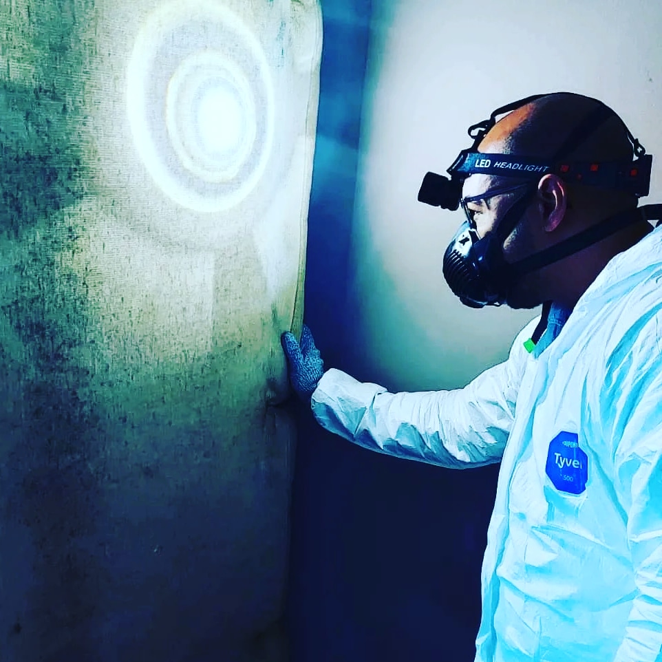 Technician inspecting a residential property before treatment