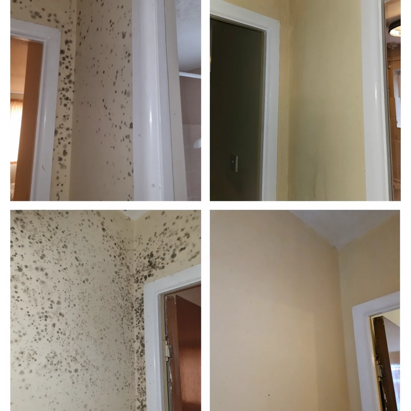 Before and after mould removal on bedroom and hallway walls in a Telford property